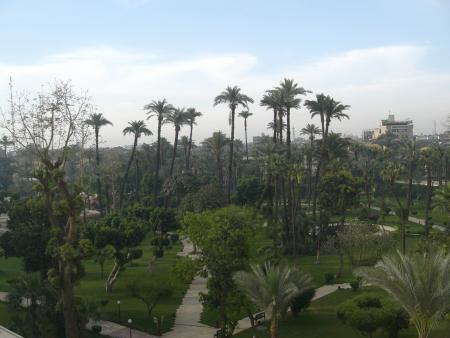 Jardin privé à Louxor