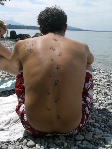 What's behind all this ?