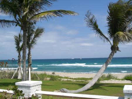 Souvenir carte postale de la côte Floridienne